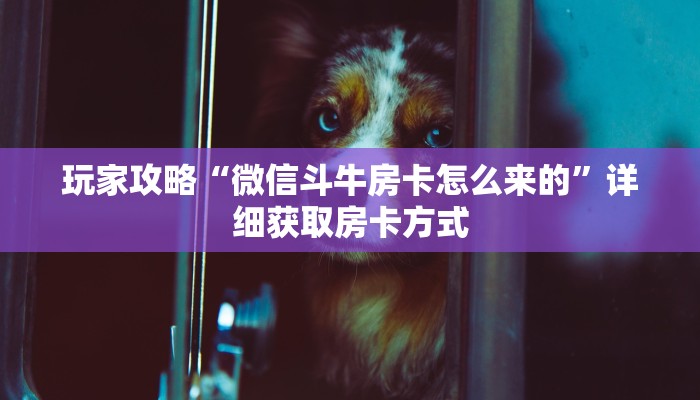 玩家攻略“微信斗牛房卡怎么来的”详细获取房卡方式