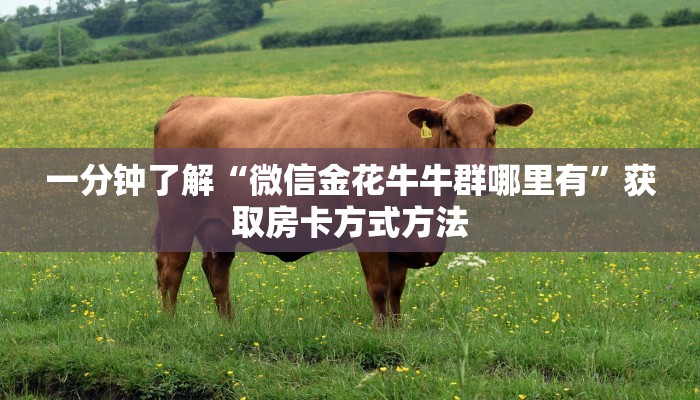 一分钟了解“微信金花牛牛群哪里有”获取房卡方式方法
