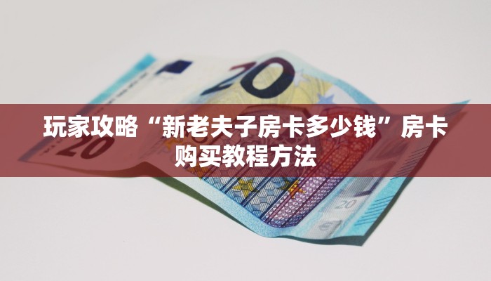 玩家攻略“新老夫子房卡多少钱”房卡购买教程方法