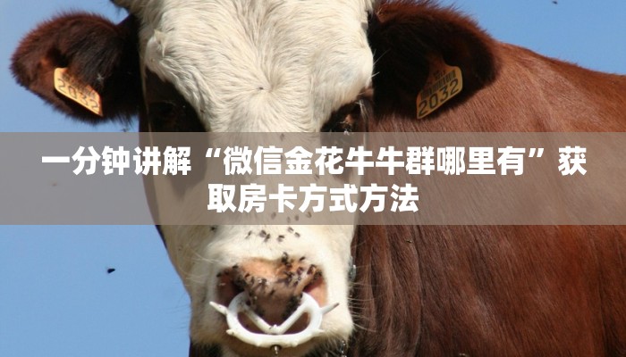 一分钟讲解“微信金花牛牛群哪里有”获取房卡方式方法