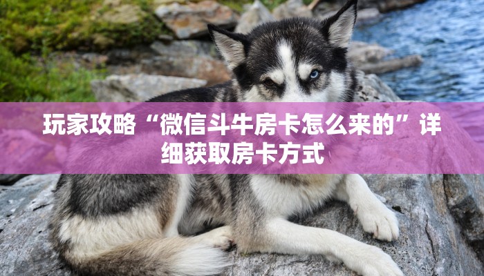 玩家攻略“微信斗牛房卡怎么来的”详细获取房卡方式