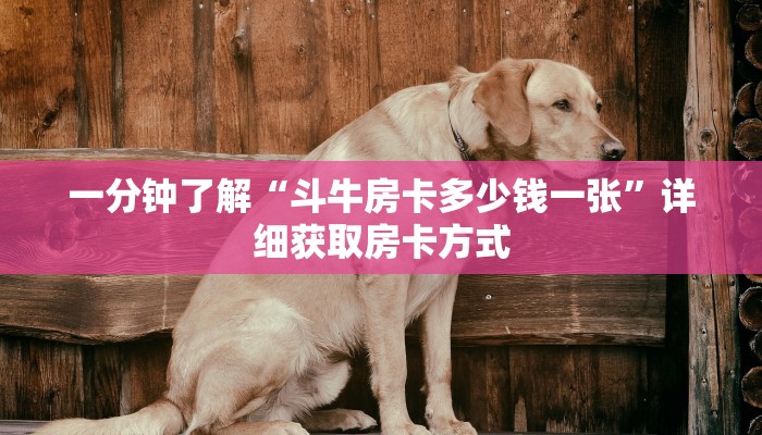 一分钟了解“斗牛房卡多少钱一张”详细获取房卡方式